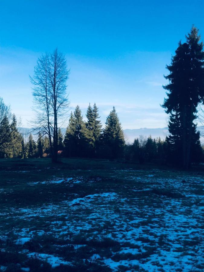 Buekkfoi Vendeghaz Apartment Borzont Bagian luar foto